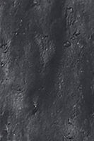 Blauschwarz